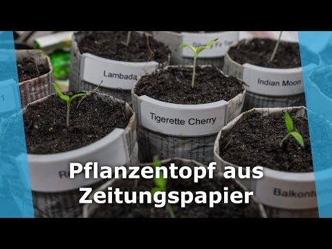 Topfschild für Blumentopf aus Zeitungspapier